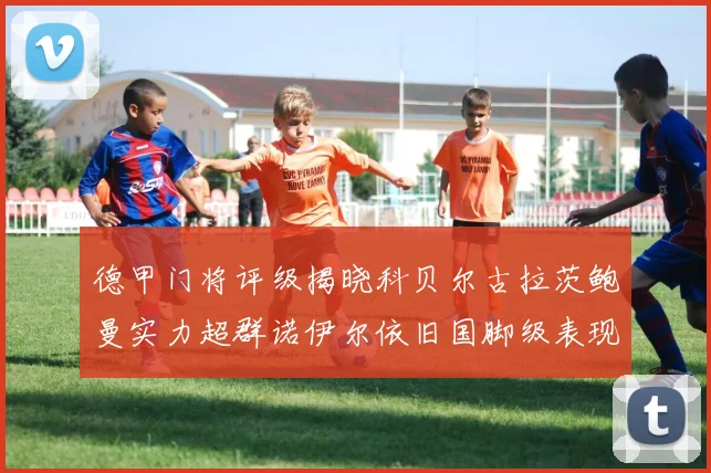 德甲门将评级揭晓科贝尔古拉茨鲍曼实力超群诺伊尔依旧国脚级表现引关注